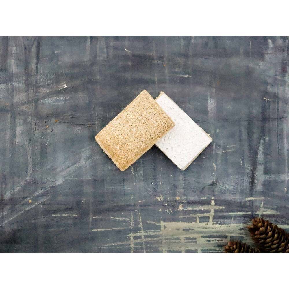 Eco Sponge
